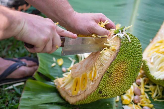 佐治亚州风暴 产品主图