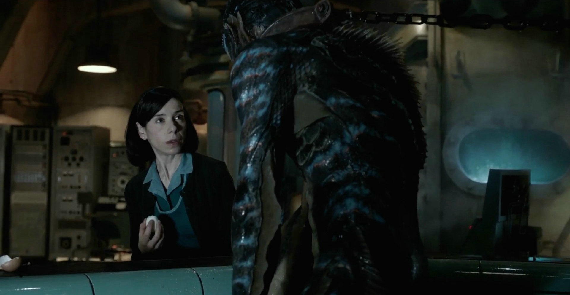 僵尸山雀 产品图片