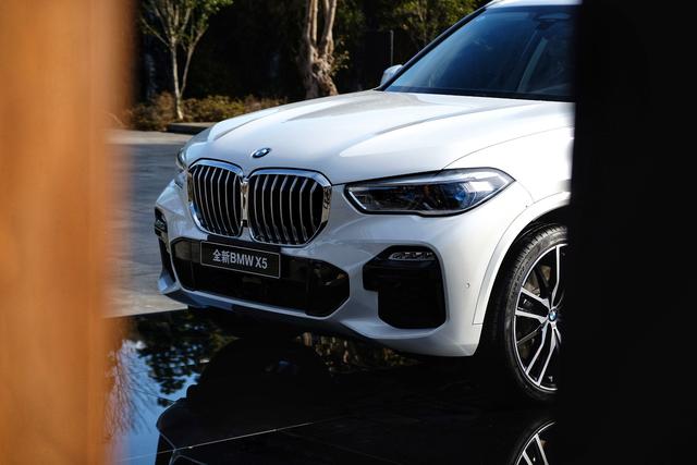 元首偷走了粉兔子 相关产品