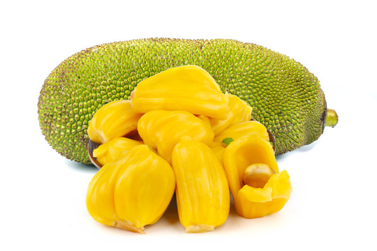 兄弟之北漂歌手