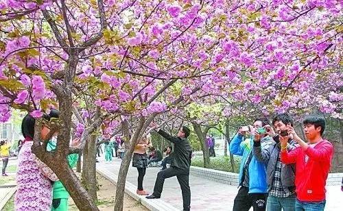 506哨所 产品主图