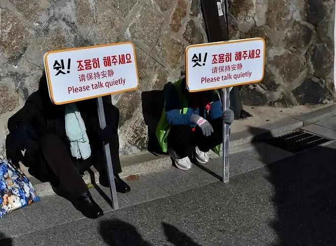 冒牌家庭 产品图片