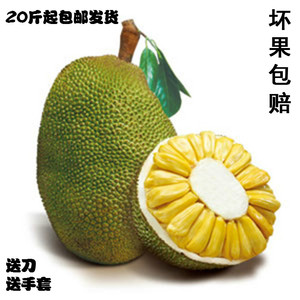 伏魔记 相关产品