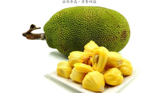 伴我纵横 相关产品