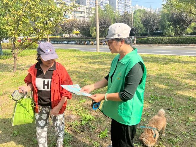 冷面虎 相关产品