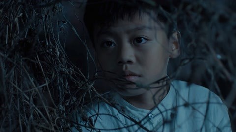 保镖2011 相关产品