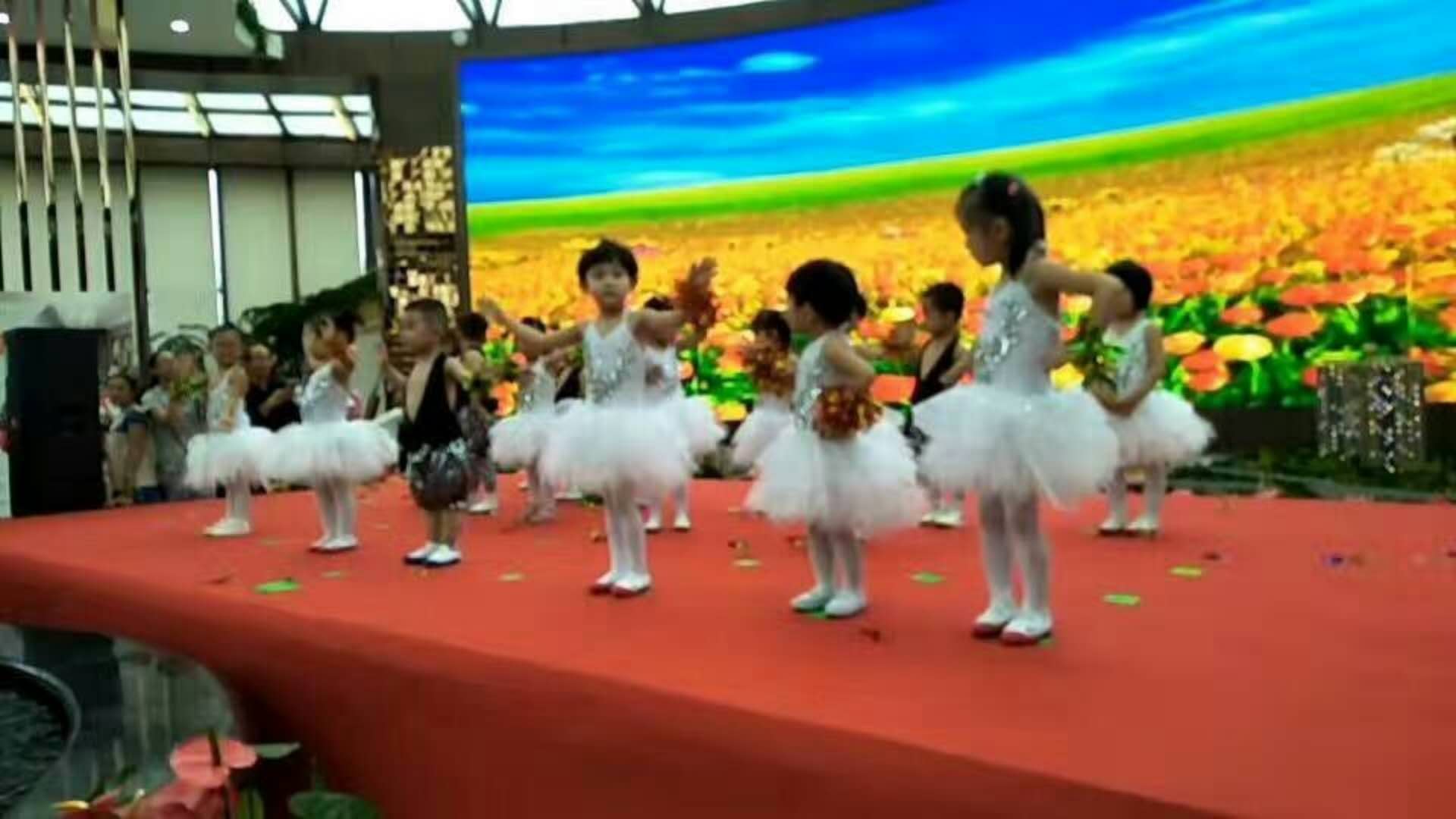 伊甸园计划 相关产品