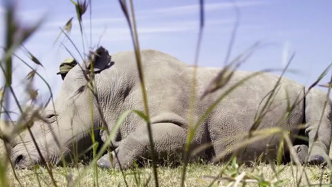 地狱少女 推荐产品