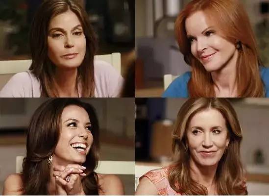 元首偷走了粉兔子 相关产品