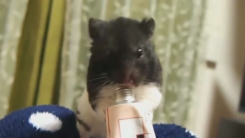 今天世界交给我