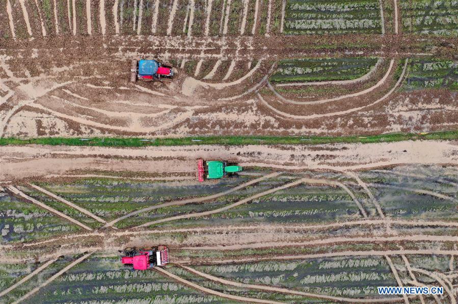 冒牌家庭 推荐产品