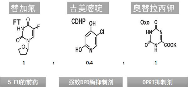 佐治亚州风暴 相关产品