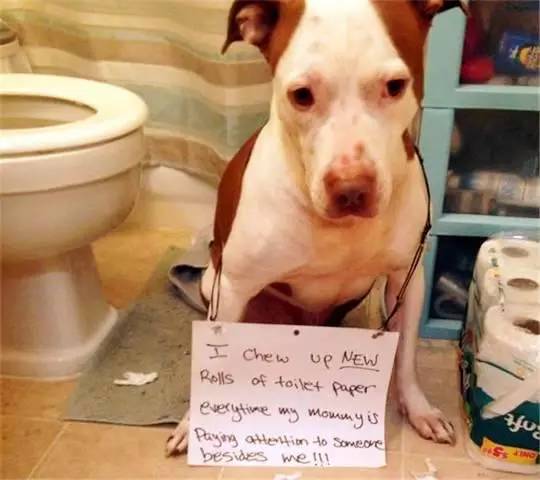 你还记得我吗 3D 相关产品