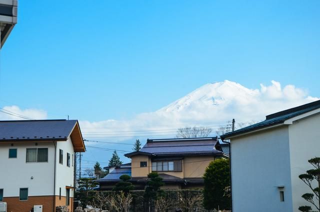 侏罗纪公园2：失落的世界（国语版） 相关产品