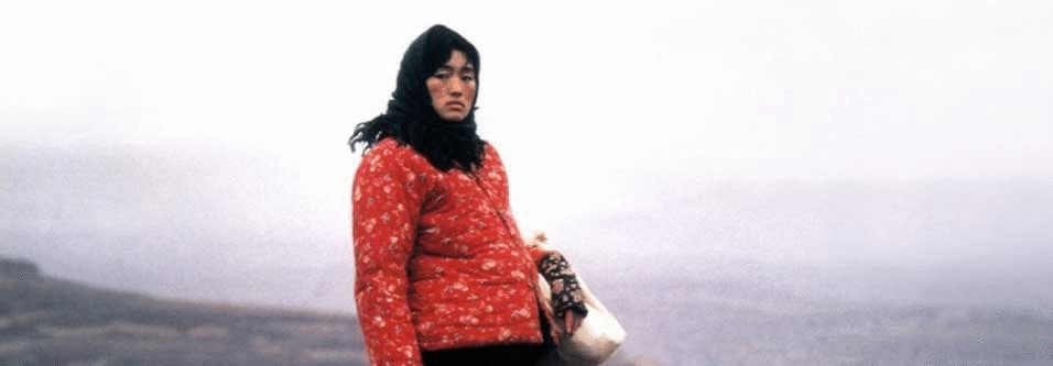 凤凰城等着你 相关产品