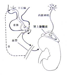 危险游戏 产品主图
