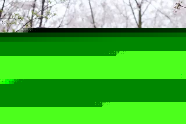 凶宅怪谈2 产品图片