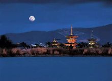 偷情先生 相关产品