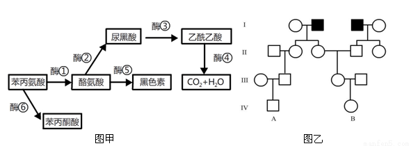 倒水湾(戏曲) 相关产品