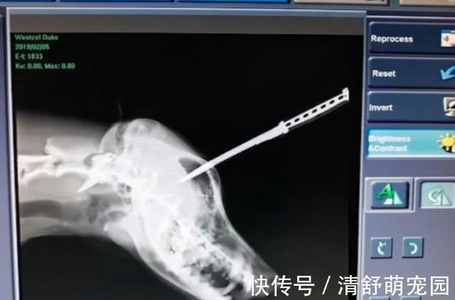 余生那些年 相关产品