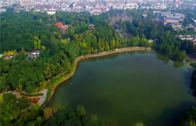 凡尔杜先生 相关产品