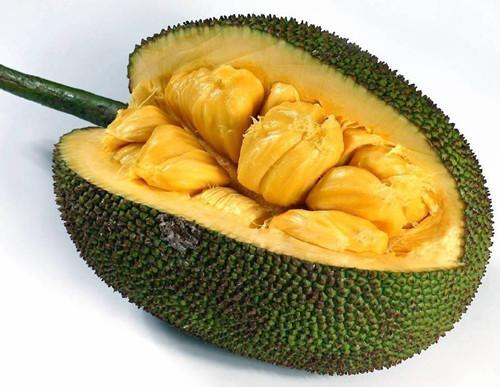 凤舞红尘 相关产品