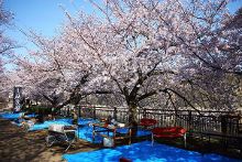 假想友 相关产品