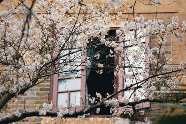 兄弟之北漂歌手 相关产品