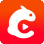 冒牌搭档（粤语） 产品图片