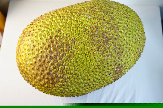 侠盗之歌 相关产品