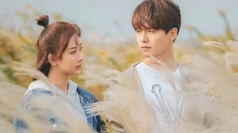 三生三世花之殇 产品主图