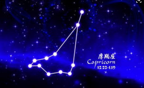 你的老鼠朋友 相关产品