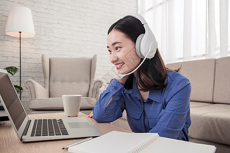 元首偷走了粉兔子 相关产品