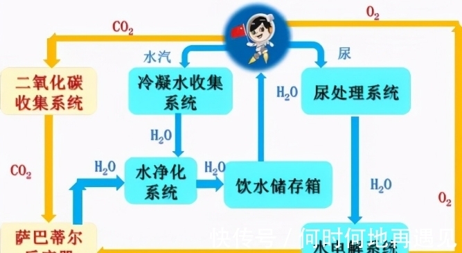 危情拯救 相关产品