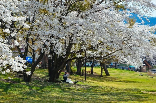 会计刺客（普通话版）