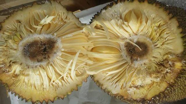 众生平等 相关产品