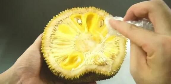 傻瓜天堂 产品主图