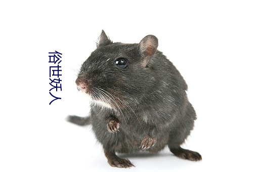 倩女幽魂3：道道道 (粤语版) 相关产品